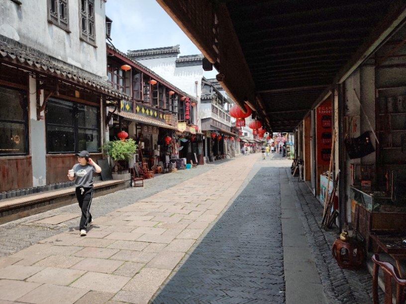 杨志明 勤劳致富 种“中国最好的葡萄”